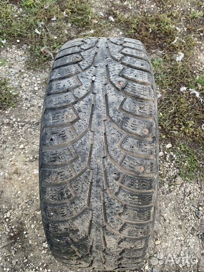 Nordman 5 205/55 R16