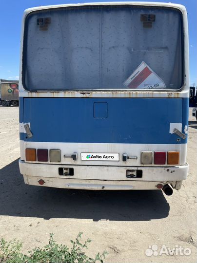 Междугородний / Пригородный автобус Ikarus 256, 2001