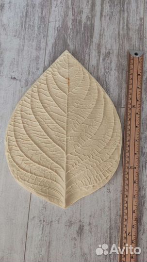 Молды пластик