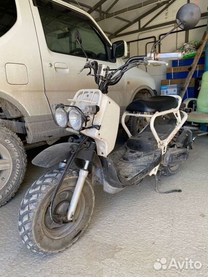 Honda zoomer 50