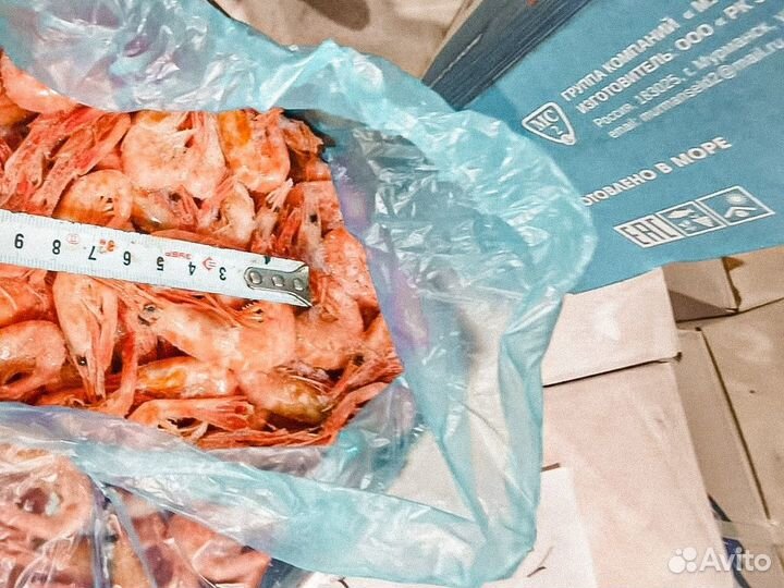 Креветка северная свежая Оптом