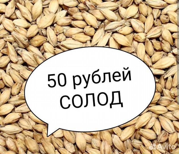 Солод для пива