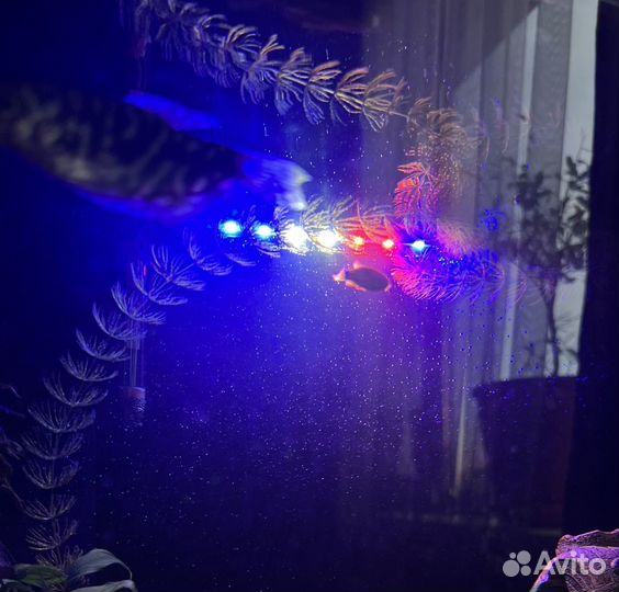 Фильтр + лампа для аквариума