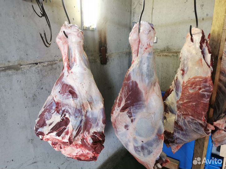 Домашнее мясо