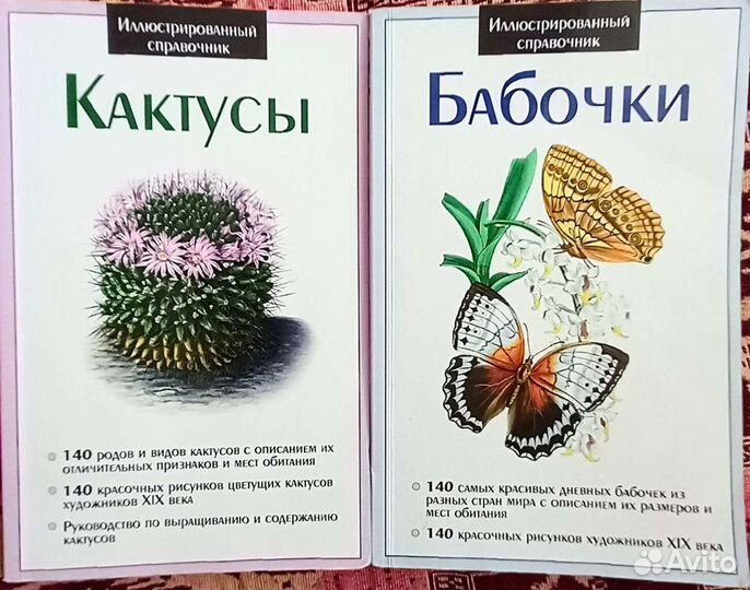 Справочник,кактусы