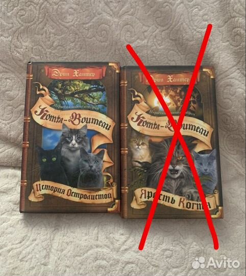 Книги коты воители история остролистой