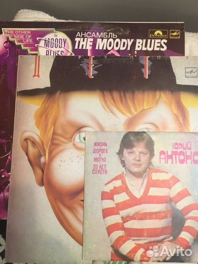 The moody blues, Антонов, Дети