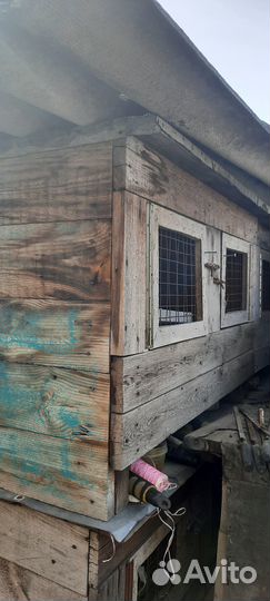 Клетка для кролика