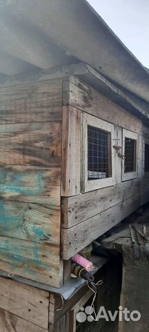 Клетка для кролика