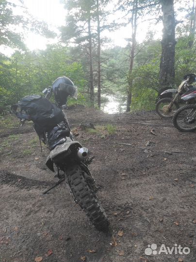 Patron amagi 250 с птс