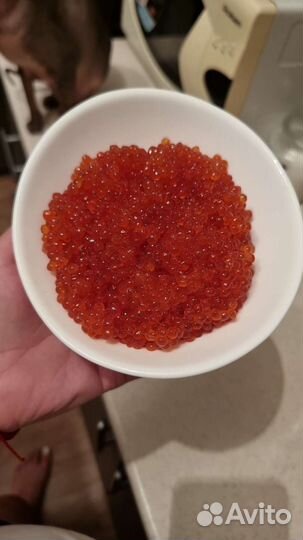 Красная икра горбуши