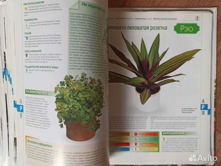 Книги о комнатных и садовых растениях