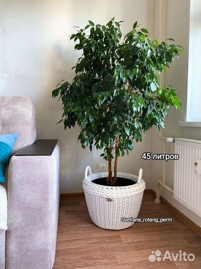 Кашпо из ротанга в наличии