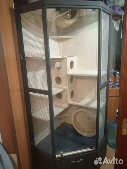 Витрина для грызунов