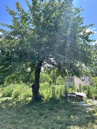 Дача 20 м² на участке 7,2 сот.