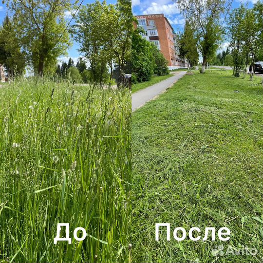 Покос травы триммером