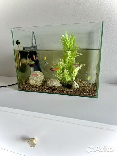 Аквариум с рыбками