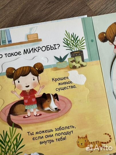 Детские книги с окошками