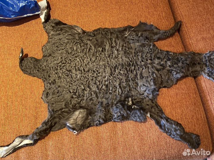 Каракуль шкурки