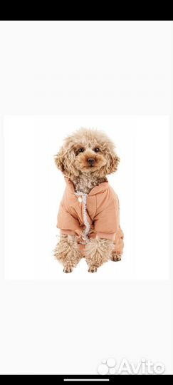 Комбинезон зимний petmax