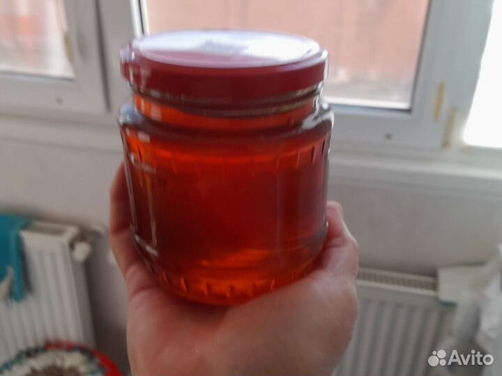 Мед подсолнечник