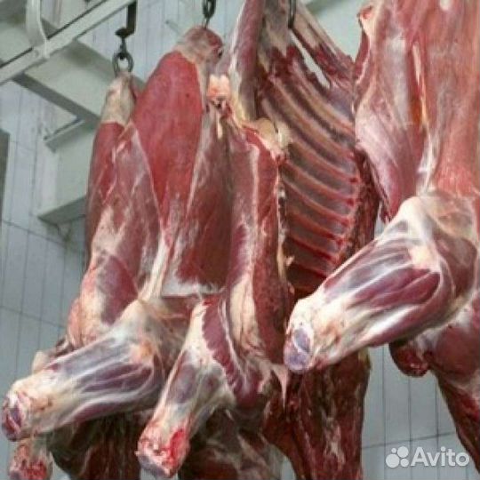 Забой, обвалка, рубка. быков-коров, свиней, овец