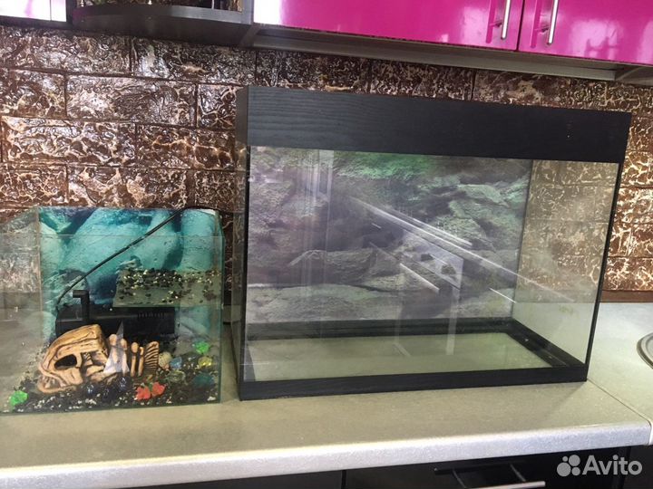 Аквариум