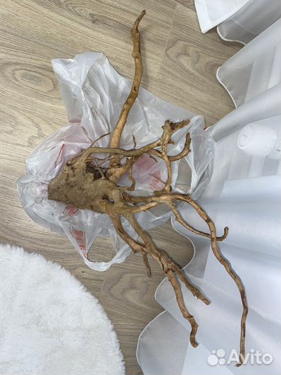 Коряги для аквариума