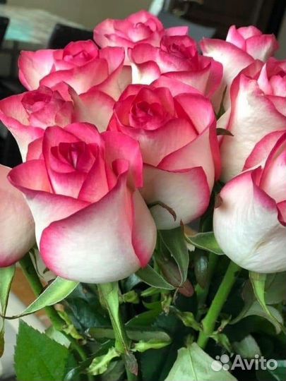 Розы с доставкой