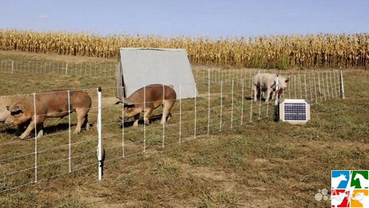 Электропастух