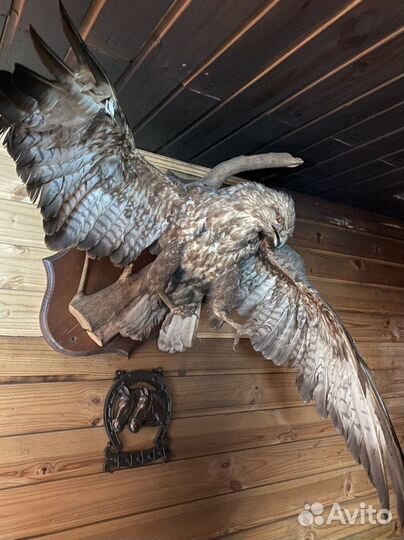 Чучело орла имитация