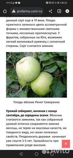 Саженцы плодовых деревьев