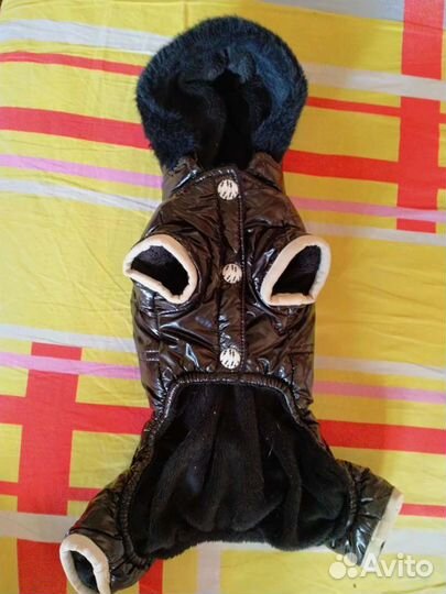 Комбинезон для маленькой собаки