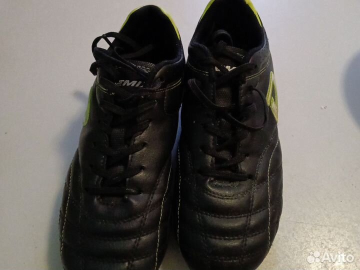 Сороконожка