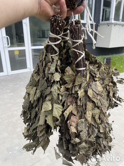 Веники для бани дуб береза