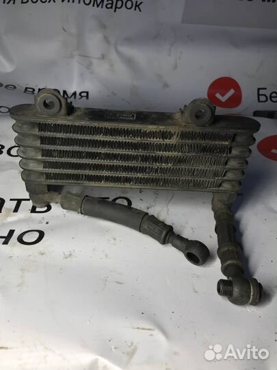 Радиатор масляный Suzuki TL1000 T501