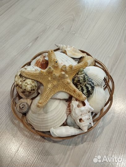 Ракушки в корзинке