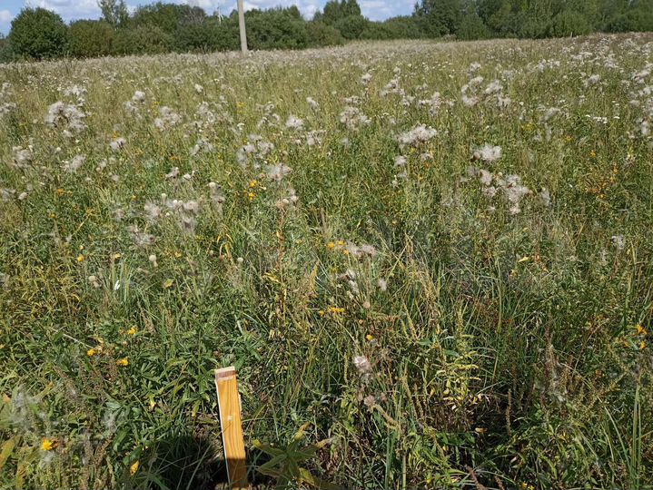 Участок 13 сот. (ИЖС)