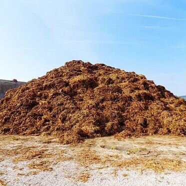 Навоз, перегной
