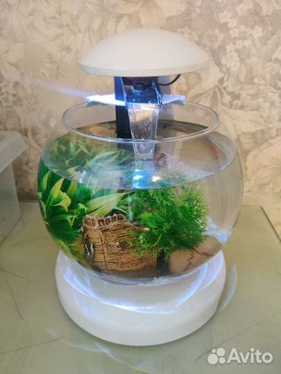 Аквариум круглый Тетра 6,8 л