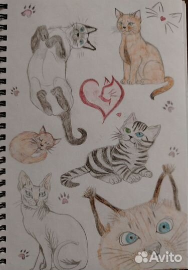 Рисунки на заказ по фото