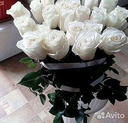 Высокие розы Гигантские розы с доставкой