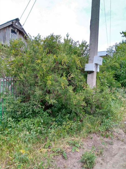 Дача 35 м² на участке 6 сот.