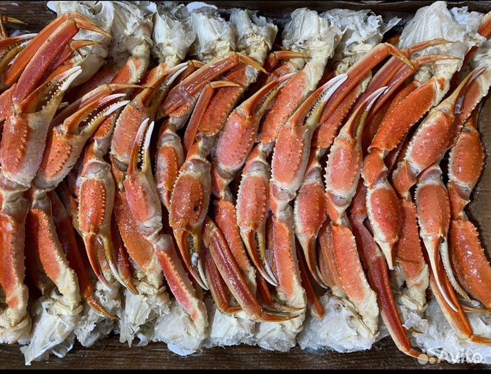 Клешни краба Стригуна (опилио)