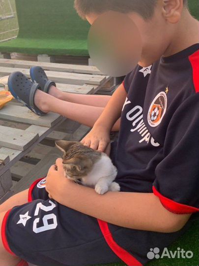 Футбольная форма