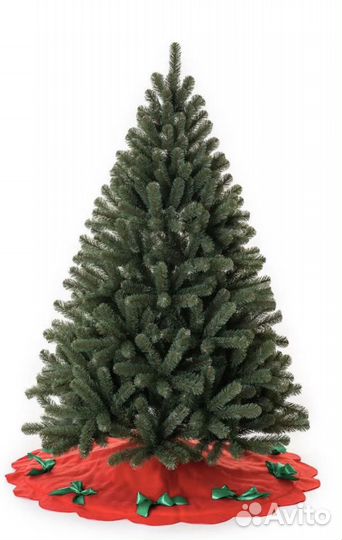 Елки, Сосна Дивная 240 см (елки торг)