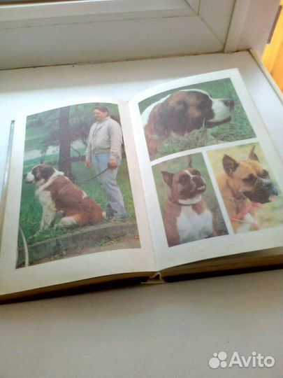 Ваши домашние четвероногие друзья