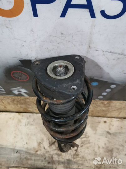 Амортизатор подвески передний правый Ford Focus 2