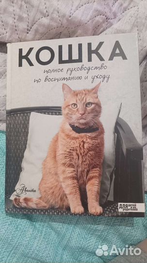 Книга про кошек
