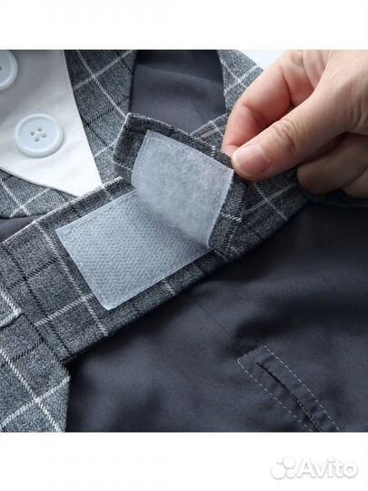 Костюм для собак